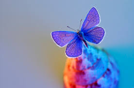 your image8